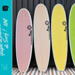 tombola planche de surf daddyseal a gagner vendee