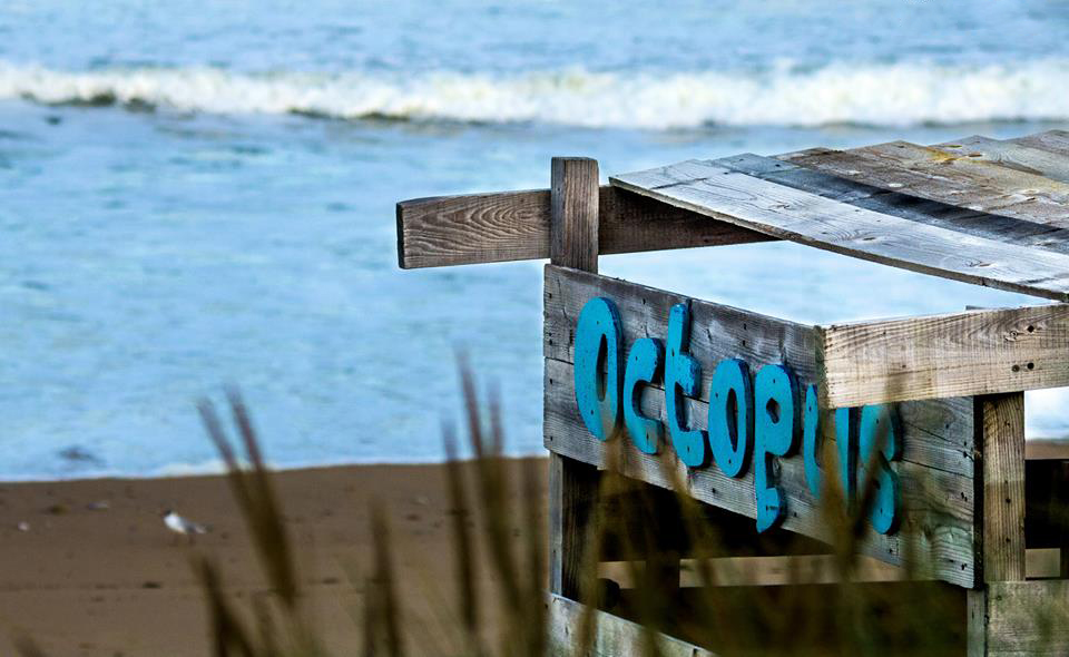 ecole surf les sables d olonne octopus