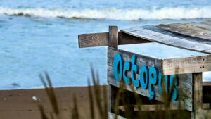 ecole surf les sables d olonne octopus vendee